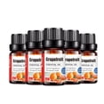 thumbnail image 3 of Aroma Huile Naturelle Aromathérapie 10ml Humidificateur, 3 of 3