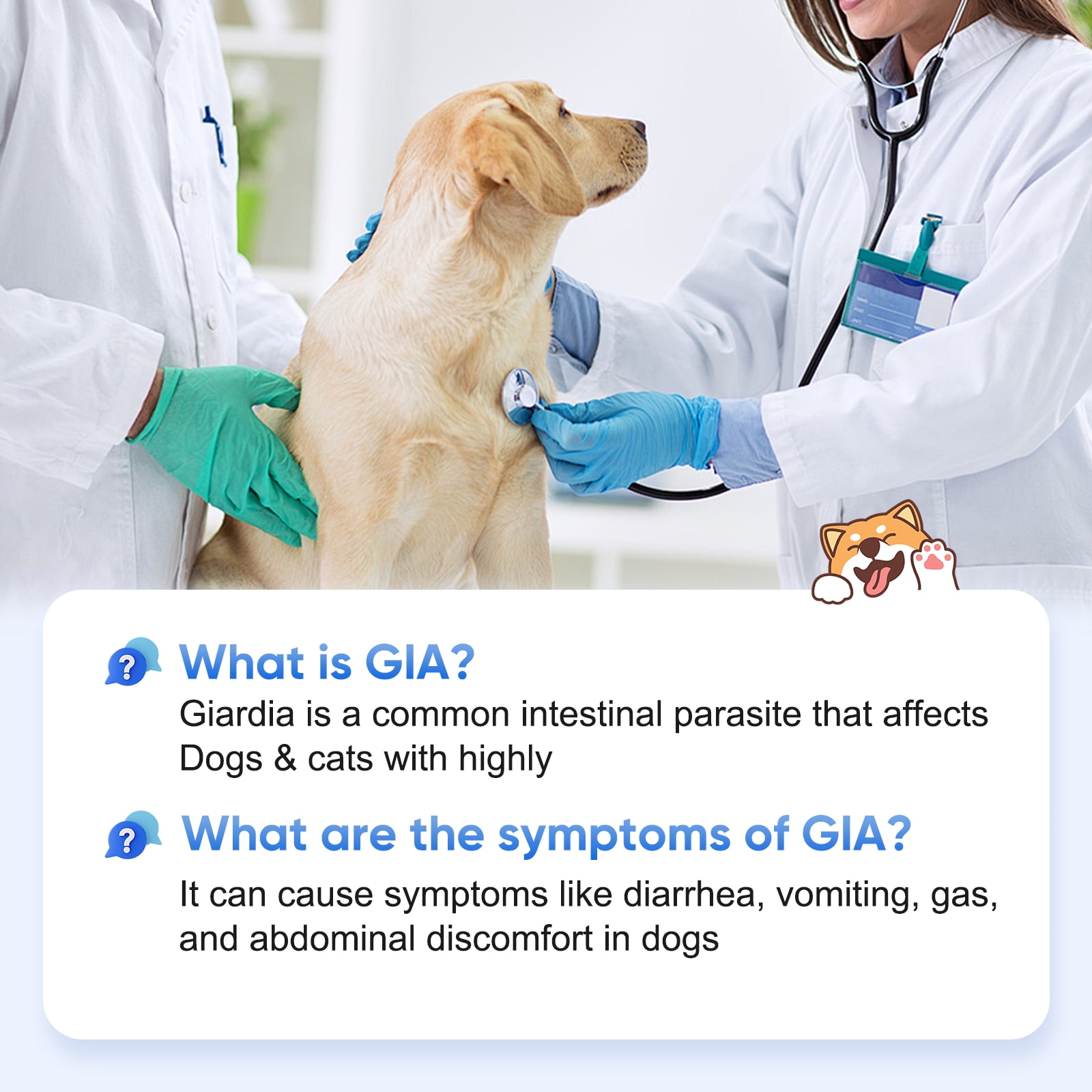 Rapid 5-Piece GIA Test Kit for Dogs & Cats: Home Giardia Detection in Feces/Vomit in 5-10 Min! Easy, Non-Invasive for All Breeds & Ages