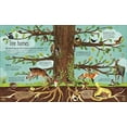 thumbnail image 4 of RHS The Magic and Mystery of Trees, 4 of 4