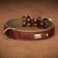 thumbnail image 2 of Didog Soft Leather Padded Dog Collar Customized Personalized Adjustable Pet Name and Number Engraved, 2 of 9