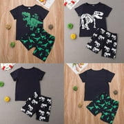 2-7Y  2019 2pcs Boys Kids Outfits T-Shirt Pants Shorts Set Clothes Baby Girl