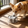 thumbnail image 6 of Floating Pet Water Bowl, Non-Wet Mouth Drinking Bowl for Dogs, Large Capacity Anti-Spill Water Dispenser, Pet Feeding Bowl, Royal Blue, 6 of 6