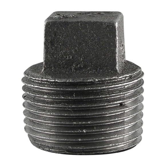 1.25 in. Black Square Head Plugs