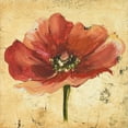 thumbnail image 2 of Great Art Now Poppy IV by Patricia Pinto, Framed Wall Art, 20W x 20H, 2 of 3