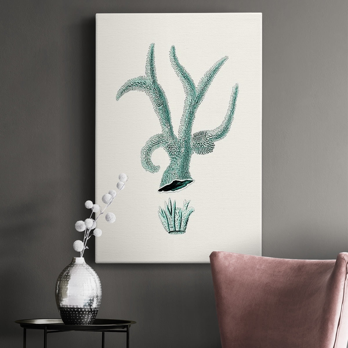 Antique Coastal Coral XII Premium Gallery Wrapped Canvas - Ready to Hang