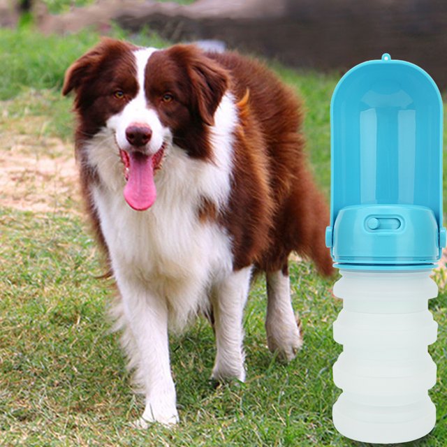 botella al aire libre para mascotas, botella plegable para perros al aire libre para mascotas de silicona de 350 ml, materiales ecológicos desplegada en azul junto a un perro en césped; vista 3/4 frontal con tapa abatible que sirve de taza, cuerpo plegable de silicona blanco translúcido con secciones acanaladas, cierre de rosca azul, capacidad 350 ml y longitud desplegada aprox. 24.5 cm; portátil para paseos y suele usarse como bebedero de viaje para mascotas.