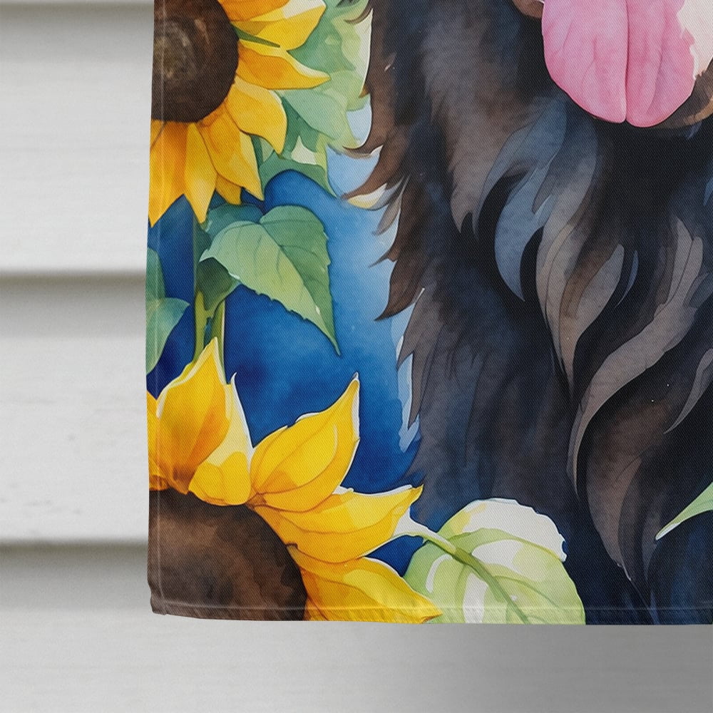Newfoundland in Sunflowers House Flag 28 in x 40 in