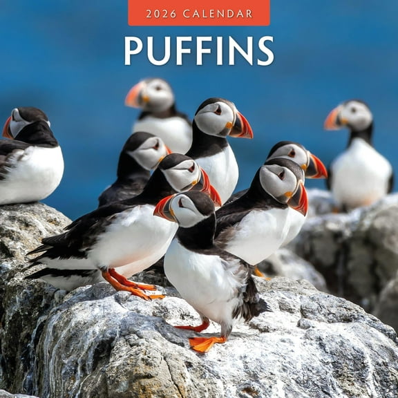 Red Robin 2026 Puffins Monthly Wall Calendar | 12" x 24" Open | Premium Thick & Sturdy Paper | Hangable 12 Month Calendar | Lined Notes & To Do Area | Vivid Images | Plastic Free