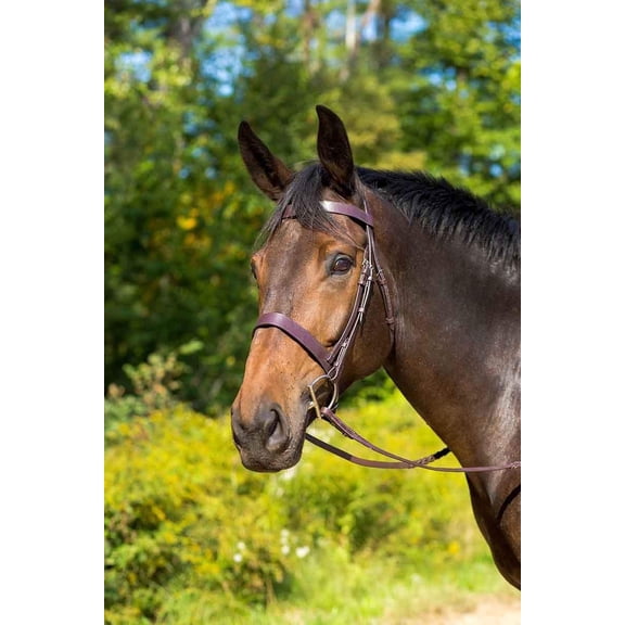 Shires Avignon Middleburg Bridle (Havana, Full)