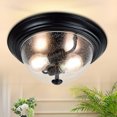 thumbnail image 1 of Depuley 13 Inch 2-Light Seeded Encloused Glass Ceiling Light with Clear Glass Shade Round Downlight for Entryway, Hallway, Bedroom, Porch, Kitchen, Living Room, 1 of 8