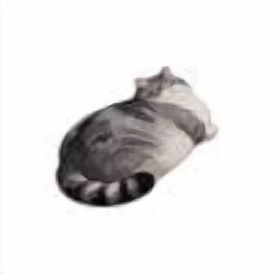 Roiihwy Cat Bath Rug - Cute Bath Mat,Soft and Fluffy Round Bath Rugs,Non-Slip Absorbent Bath Mats,Cat Bathroom Mats for Bathroom,Kid Room,Bedroom