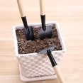 thumbnail image 5 of Varilla gruesa: juego de 3 piezas: mini herramientas de jardinería, pala, rastrillo, pala, plantas suculentas en maceta, herramientas de jardinería, garra con mangos de madera, 5 of 5