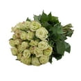 thumbnail image 4 of Green Roses - Farm Direct Fresh Cut Flowers - 125 Stems, 4 of 5