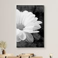 thumbnail image 3 of wall26 Canvas Print Wall Art Black &amp; White Daisy &amp; Cursive Typography Floral Botanical Photography Modern Art Rustic Scenic Relax/Calm Dark for Living Room, Bedroom, Office - 16"x24&quot, 3 of 5