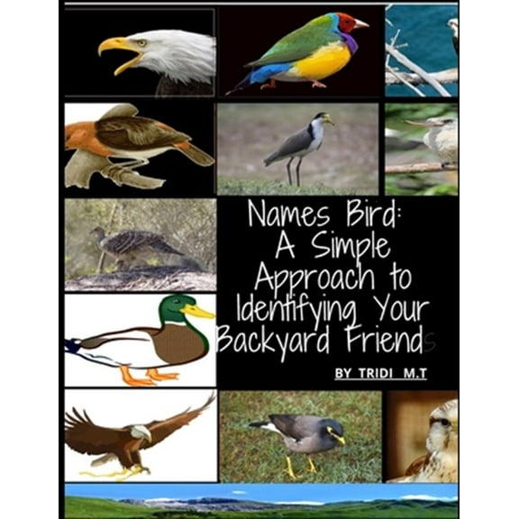Pre-Owned Names Bird: A Simple Approach to Identifying Your Backyard Friend