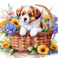 thumbnail image 1 of 5D DIY Taladro Cesta Flores Del Perro 30x30cm, 1 of 9