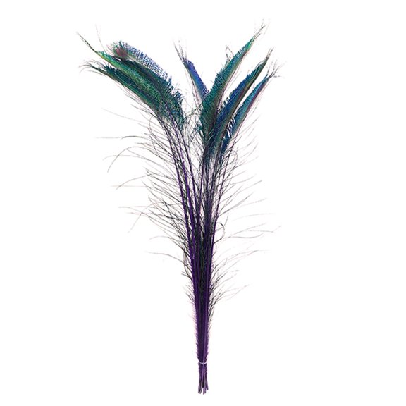 Zucker Feather Products Peacock Swords Stem Dyed Feathers - 25-40" - 10pcs - Regal
