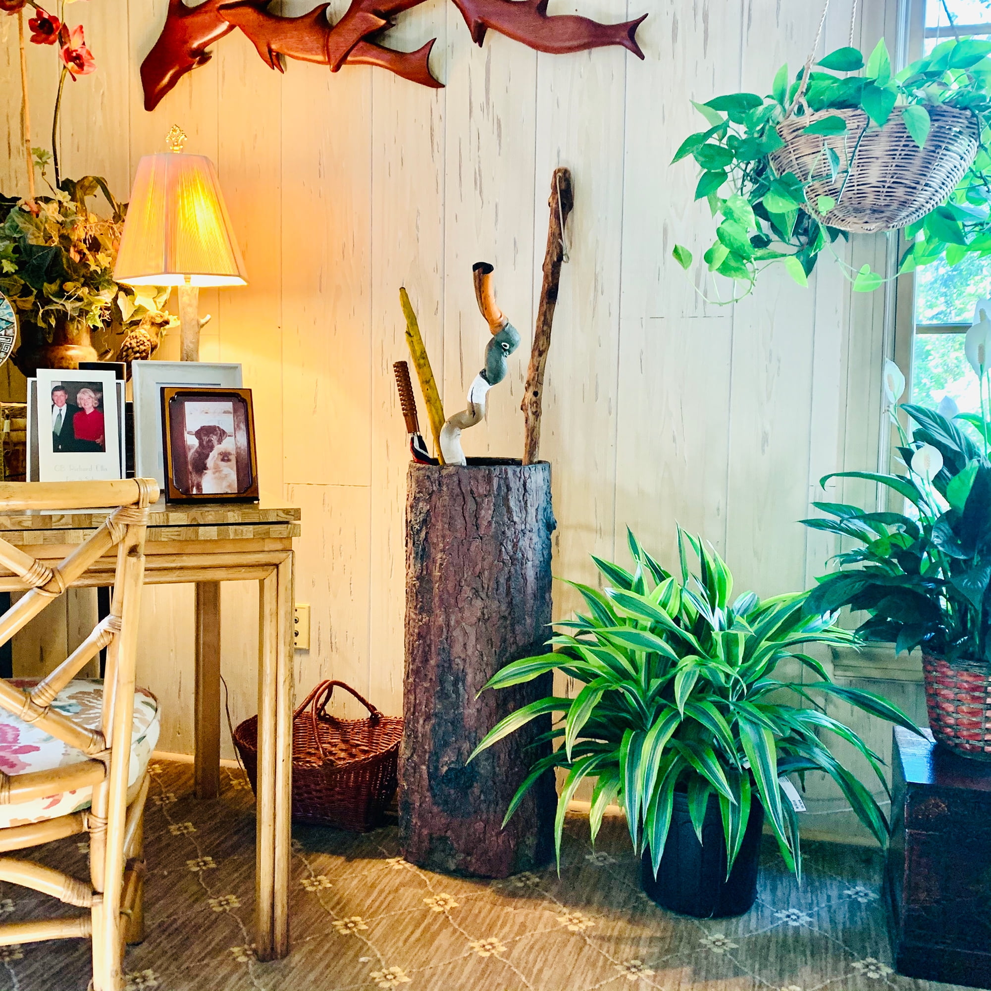 Country Stump Vintage Farmhouse Umbrella Stand. Unique Indoor / Outdoor Walking Stick & Umbrella Holder. Rustic Home Entryway Log Bin.