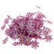 thumbnail image 1 of 100pcs Cabezas De Margaritas Artificiales Flores Artificiales Decoración De Manualidades Diy Manualidades Tarjetas perfecl Flor de Margarita de seda artificial, 1 of 8