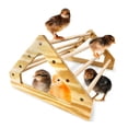 thumbnail image 3 of GROWTH TANK bird cage with stand parrot playstand 1 Hole, 3 of 9
