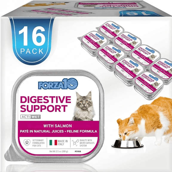 Forza10 Digestive Wet Cat Food for Adult Cats - 3.5 oz, 16 Pack - Salmon | Vet-Formulated Actiwet Digestive Support for Cats with Sensitive Stomach - Non-GMO - Made in Italy