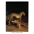thumbnail image 2 of Agasse, Jacques-Laurent 19x24 Gold Ornate Wood Framed with Double Matting Museum Art Print Titled - Twp Leopards, 2 of 4