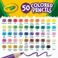 thumbnail image 6 of Crayola Colored Pencil Set, 50 Ct, School Supplies, Adult Coloring Pencils, Gift, 6 of 8