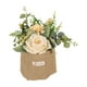 thumbnail image 3 of Florero colgante artificial con bolsa de arpillera, plantas en maceta y estantería. Champán, 3 of 9