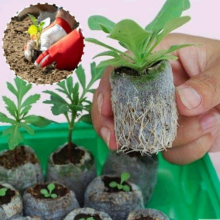 

ZHENYANGli Pellets Starting Plugs Pallet Seedling So il Block Easy to Operate