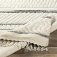 thumbnail image 5 of Meknes MEK-1001 2' x 3' Area Rug in Cream/Charcoal/Medium Gray, 5 of 6