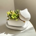 thumbnail image 6 of Animal-Shaped Cat Planter For Succulent Plants, Desktop Decorative Ornament With Attached Tray, Suitable For Home Desks, Office Workstations, And Spaces For Big Kids And Teens, 6 of 6