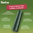 thumbnail image 2 of Denties Dental Chews for Dogs–Dental Sticks for Small Dogs(Up to 22lbs), Dog Dental Treat Cleans Teeth, Freshen Breath, Reduce Plaque Tartar, Chicken Spirulina & Mint Recipe, 16 oz Pack, 35 Treats, 2 of 9