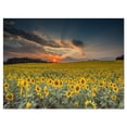 thumbnail image 2 of Sunflower Sunset with Cloudy Sky - Large Landscape Canvas Art, 2 of 3