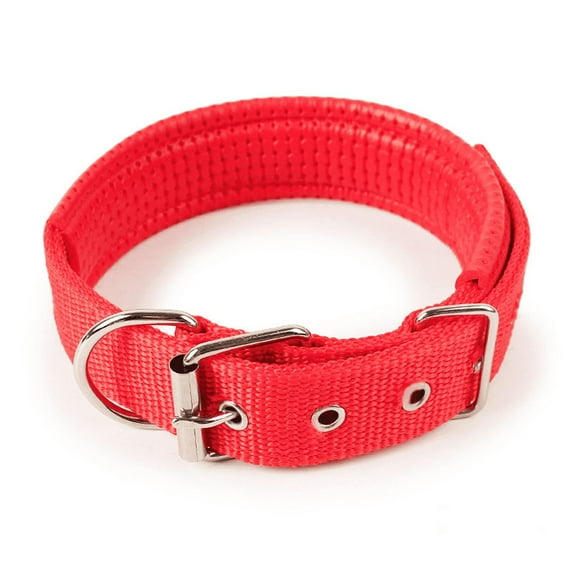 GASTROPOD Dog Collar,Comfortable Puppy Collars with Adjustable Fit,Breathable Nylon Collar for Daily Activities