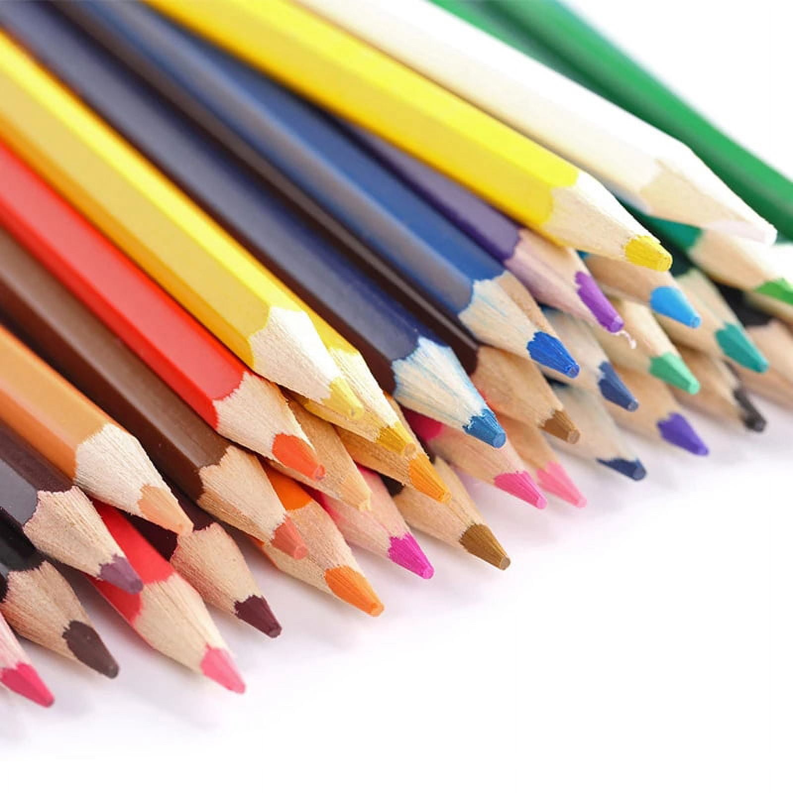 OBOSOE Professional Charcoal Set,Skin Tone Colored Pencils,Colored Charcoal,Chalk Chalk For Sketching,Shading,Layering And Blending,36 Colors
