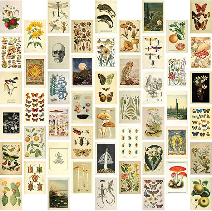 Buy 50 Mini Botanical Cottagecore Collage Art Posters (4? x 6 ...