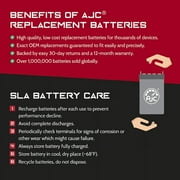 Powervar Security II UPM 420VA 378W ABCE422-22 12V 5Ah UPS Battery - This Is an AJC Brand Replacement