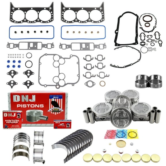 DNJ EK3127 Engine Rebuild Kit Fits Cars & Trucks 1994-1995 Chevrolet GMC Oldsmobile Astro Blazer Bravada Jimmy S10 S10 Blazer Safari Sonoma 4.3L OHV V6 12V 262cid VIN W