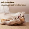 thumbnail image 3 of 3Pcs Cat Toys Natural Silvervine Sticks, Silvervine Blend Sticks, Catnip Cat Chew Toys for Kittens Teeth Cleaning Aggressive Chewers Cat Dental Toy, 3 of 6