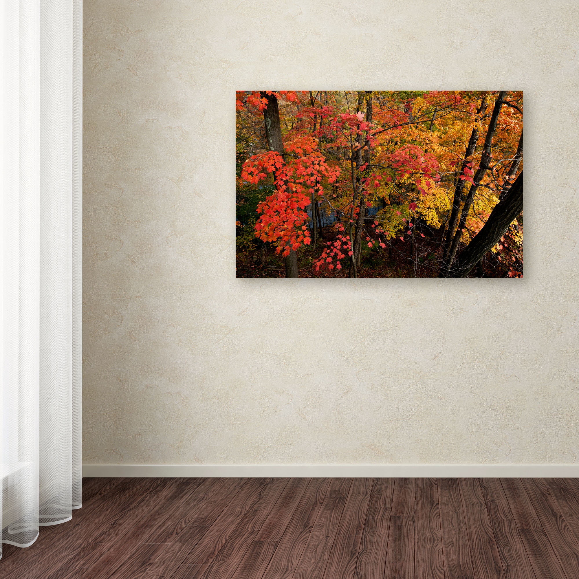 Trademark Fine Art "Brilliant Autumn Forest" Canvas Art by Kurt Shaffer