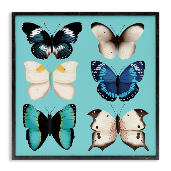 Stupell Industries Six Diverse Butterflies on Turquoise Black Framed Giclee Art, design by Metka Hiti