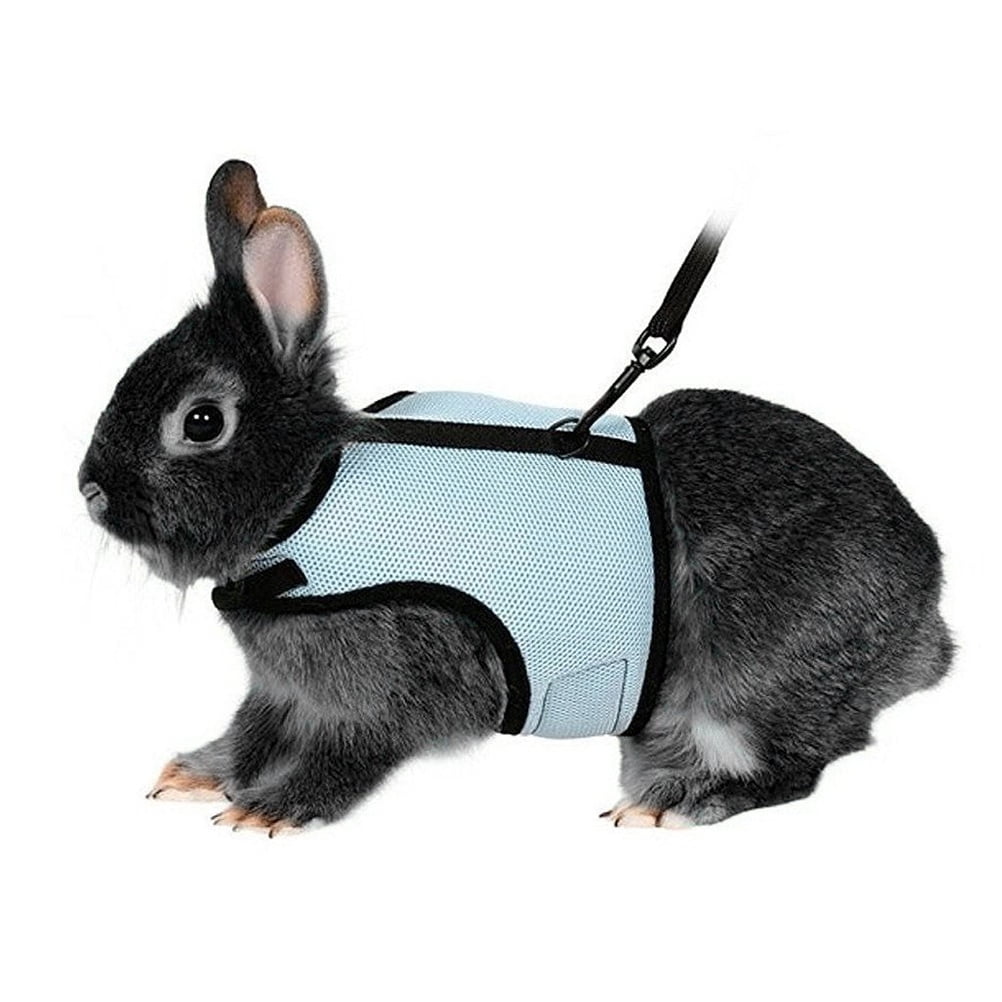 Harness with Lead for Rabbits Bunny Little Pets Size L Sky Blue