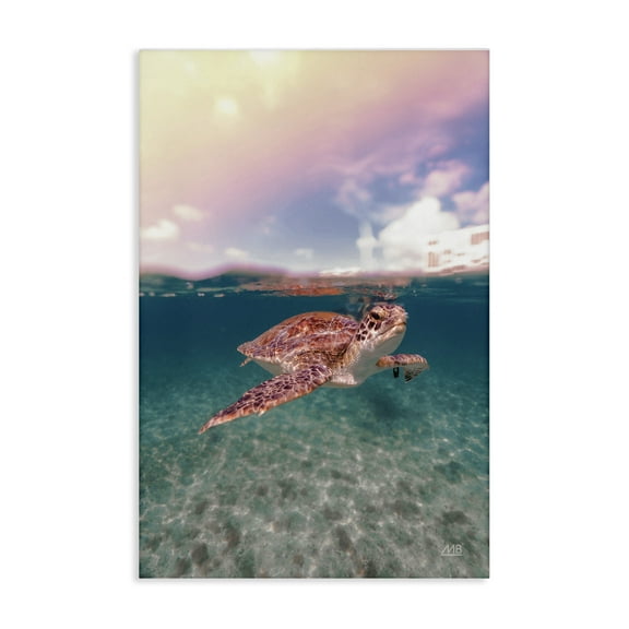 Stupell Industries Above & Below Sea Turtle Animals Photography Wrapped Canvas Art Print Wall Art, 16 x 24