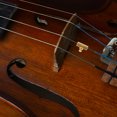 thumbnail image 3 of RENACLIPY Bass String Mute Violin Mute Metal Lightweight for Practice Sessions 1Pack, 3 of 5
