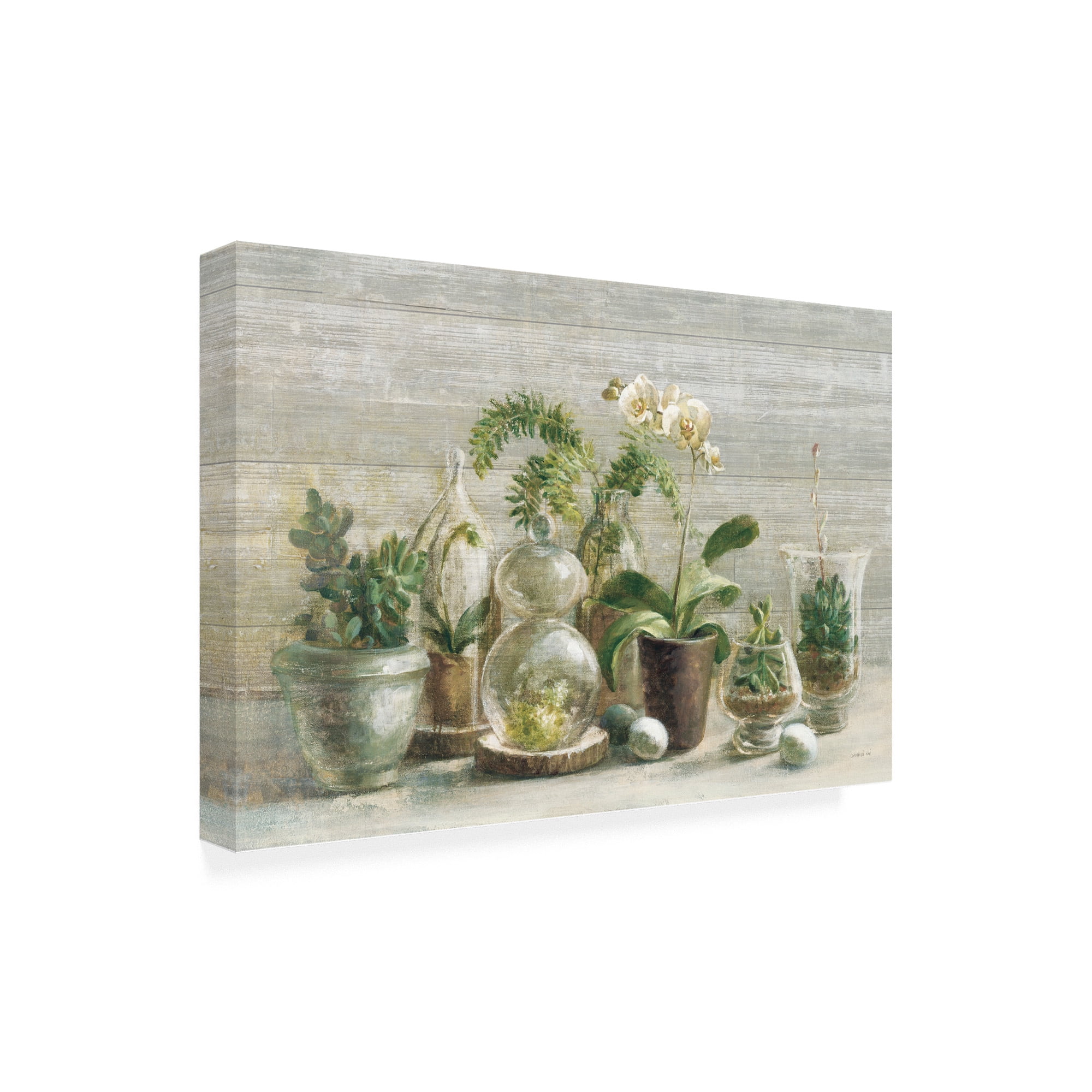 Trademark Fine Art 'Greenhouse Orchids on Wood v2' Canvas Art by Danhui Nai
