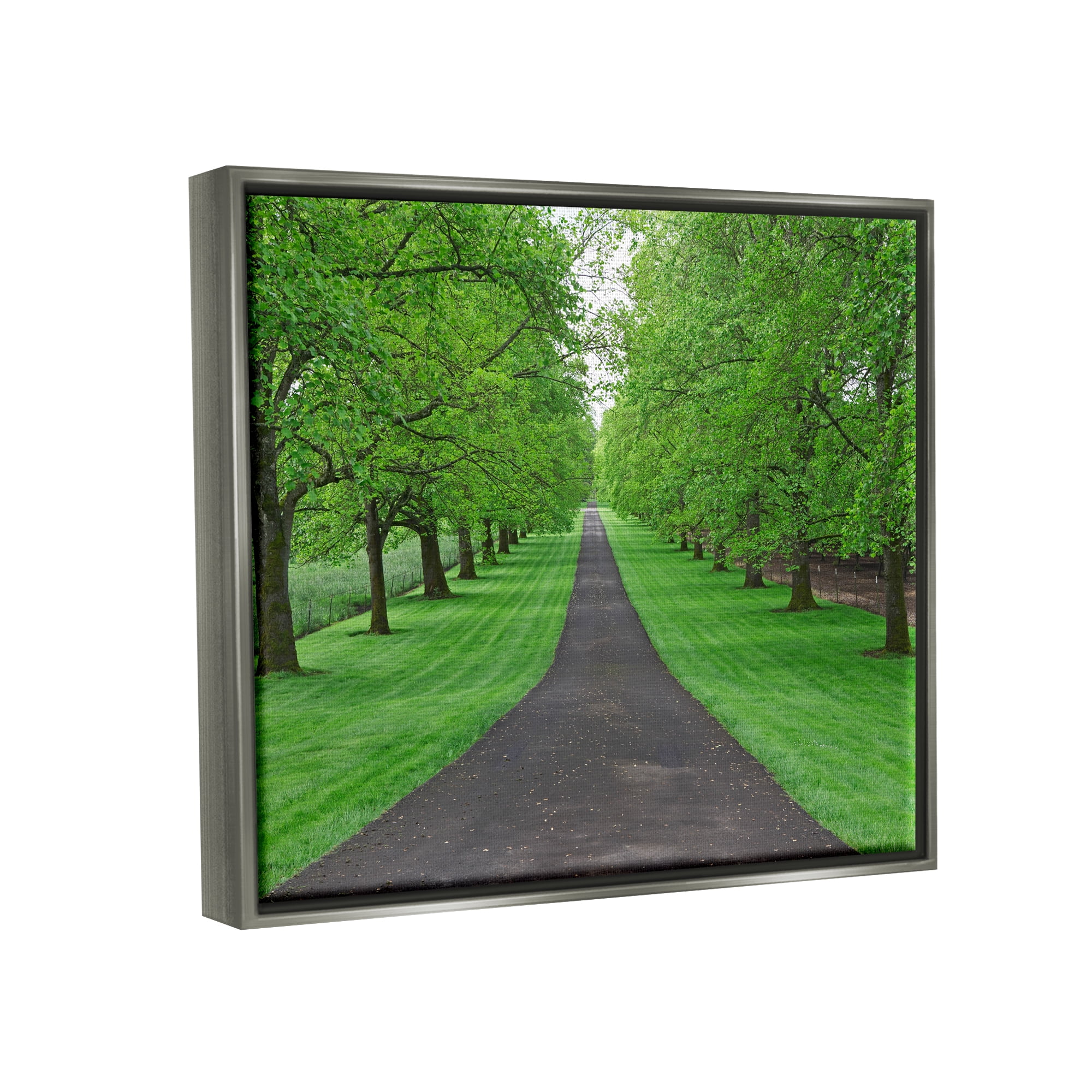 Stupell Industries Tree Grove Path Landscape Nature Photography Gray Floater Framed Art Print Wall Art, 31 x 25