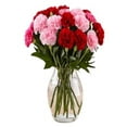 thumbnail image 3 of KaBloom :Bouquet of 12 Red and Pink Carnation vase Next-Day Delivery, Gift for Every Occasion., 3 of 5