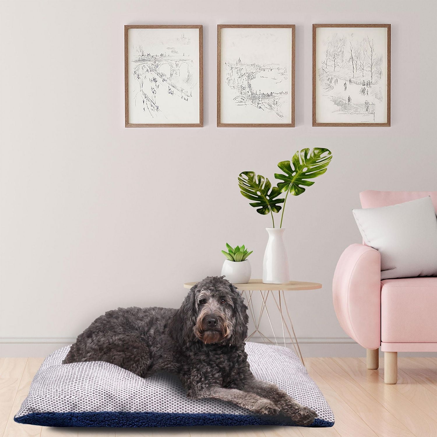 Vibrant Life 45x36in XL Giant Pillow Dog Bed