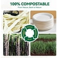 thumbnail image 3 of 100% Compostable Small Paper Plates, 200 Pack 6 Inch Heavy Duty Dessert Plates, Disposable Biodegradable Eco-Friendly Sugarcane, Bulk White, 3 of 4