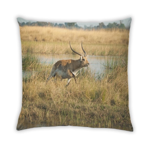 Ahgly Company Sites Antelope Indoor Throw Pillow, 18 inch by 18 inch